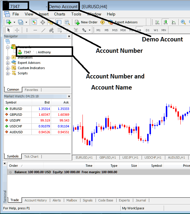 Account Name and Account Number on MetaTrader 4 Account - BTCUSD Crypto MetaTrader Account Login - MetaTrader BTCUSD Crypto Platform Account Login
