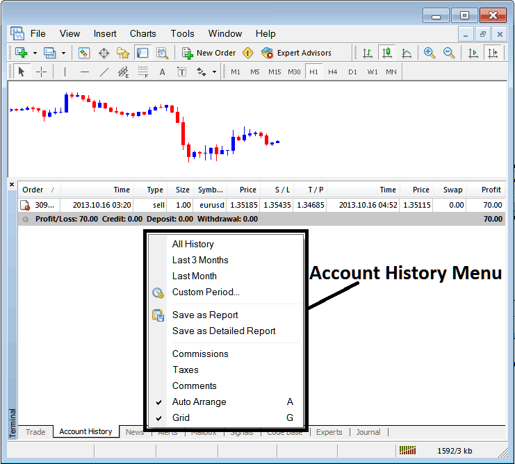 Bitcoin MT4 Online Software - Learn How to Trade Using MT4 Bitcoin Trading Platform Software