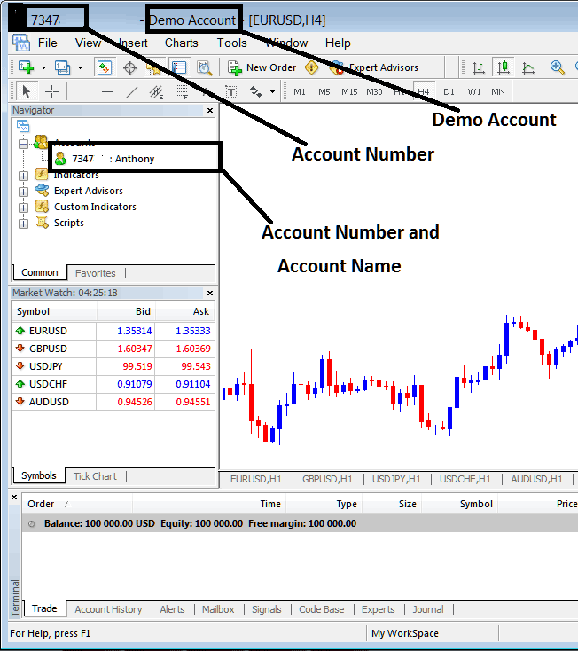 Account Name and Account Number on MT5 Account - BTCUSD MT5 Account Login - BTCUSD Crypto Trading MT5 Account Login