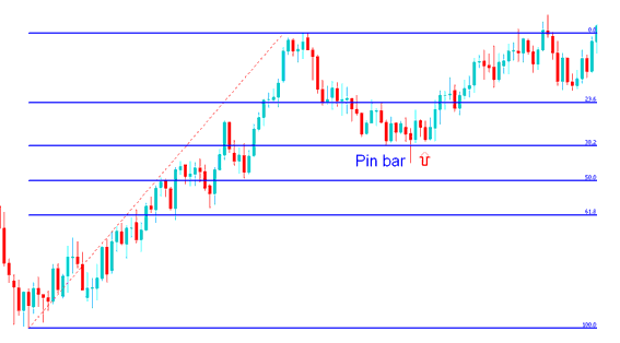 Pin Bar Bitcoin Price Action Combined with Fib Retracement Levels - Bitcoin Trading Reversal Strategy