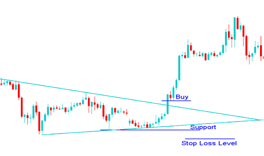 Stop Loss Bitcoin Order Level Using a Support Line - How to Set BTC Stop Loss Orders Using BTC TrendLines Tutorial