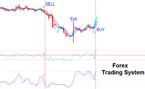 What's Bitcoin Trading & How Does it Work PDF? - Learning Trading from Scratch